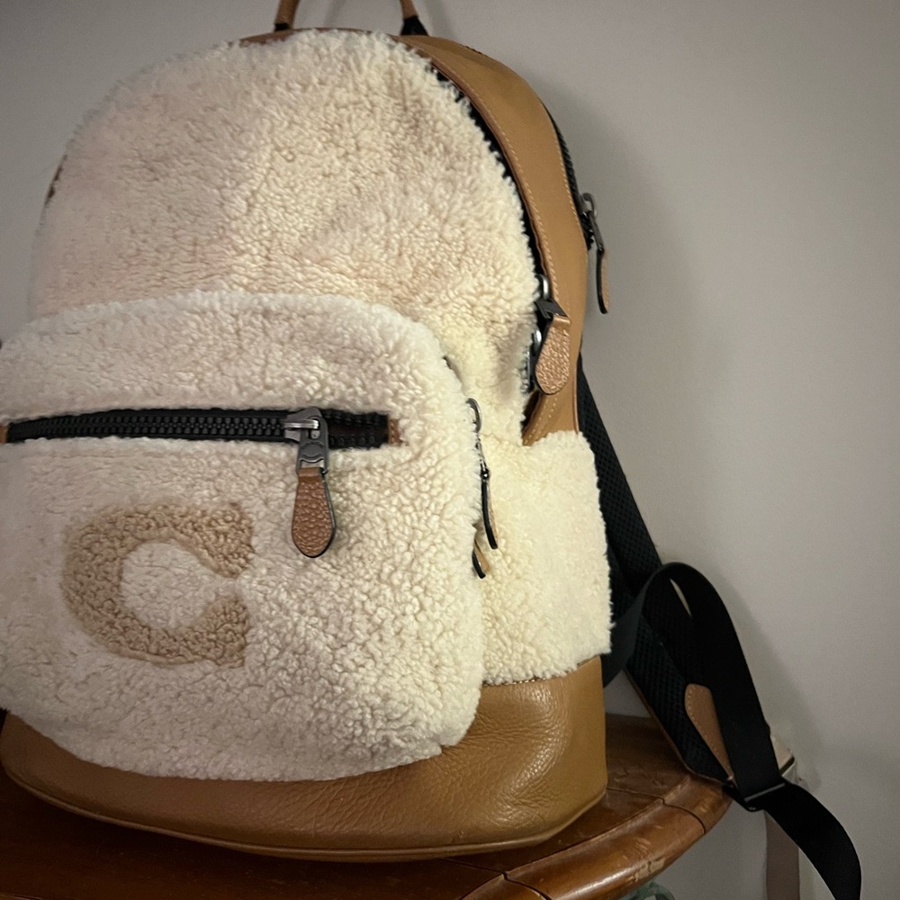 Large Coach backpack - Picture 2 of 5